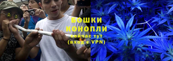 ALPHA-PVP Алексеевка