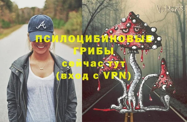 твердый Алзамай