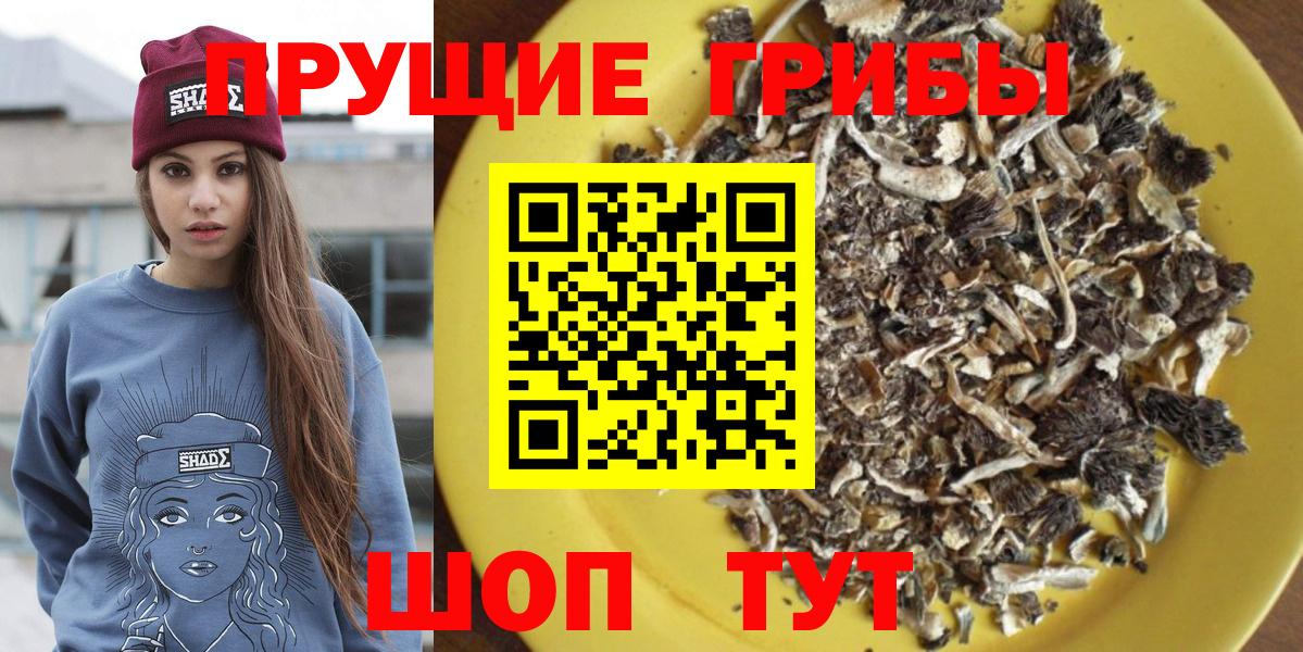 Галлюциногенные грибы MAGIC MUSHROOMS  Галлюциногенные грибы мухоморы  Вход с VPN  Фролово 